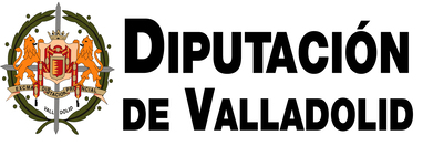 LOGO DIPUVALLADOLID2025